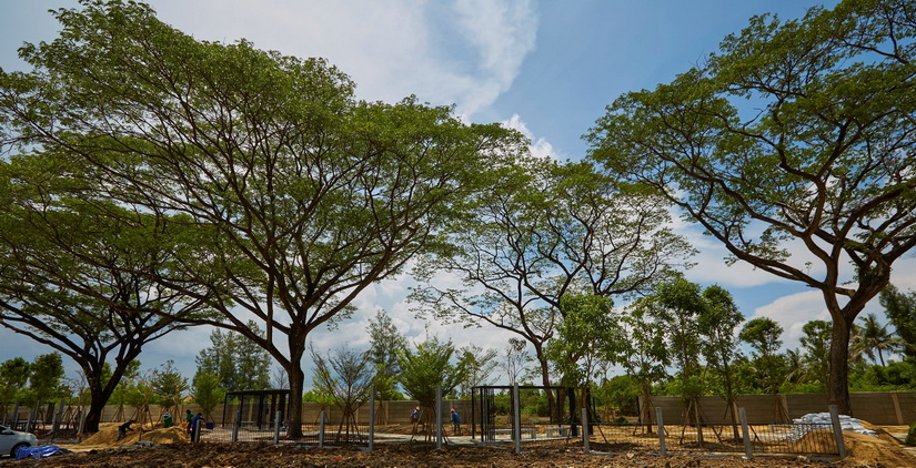 บ้านลุมพินี