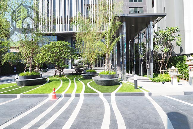 RHYTHM ASOKE