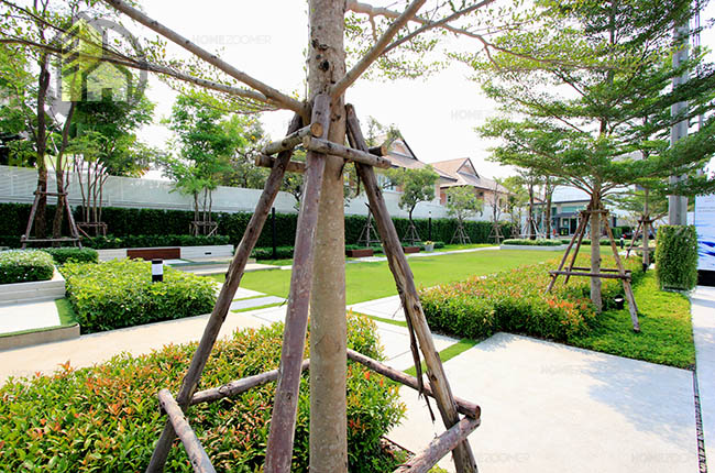 บ้านกลางเมือง สุขุมวิท 77