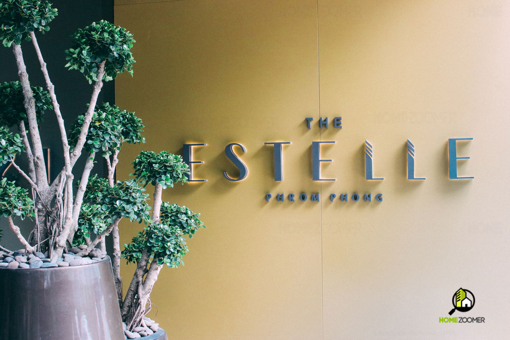 The Estelle_8