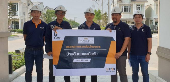 ดี-แลนด์