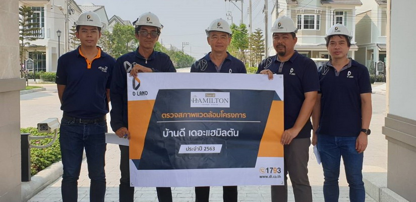 ดี-แลนด์
