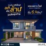 ดี - แลนด์