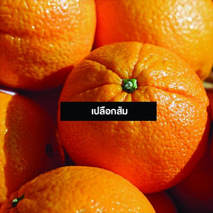 รวมวิธีไล่ยุงด้วยเทคนิคพื้นบ้าน