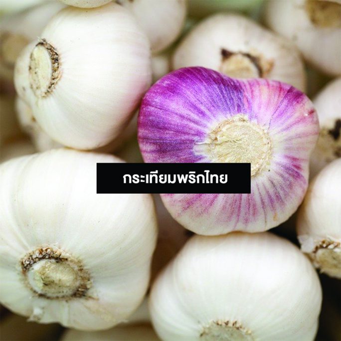รวมวิธีไล่ยุงด้วยเทคนิคพื้นบ้าน