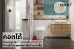 คอตโต้