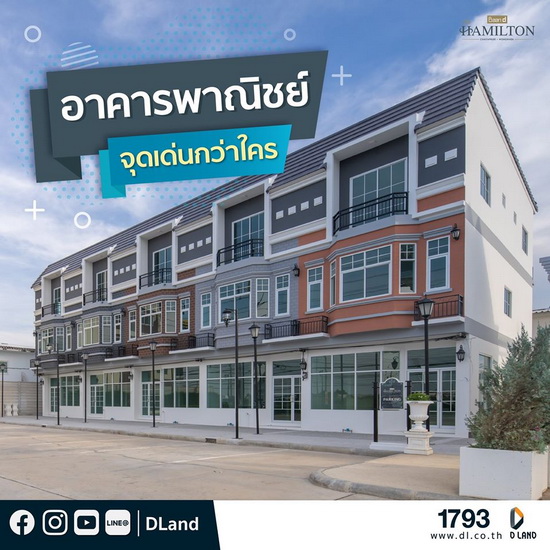ดี - แลนด์