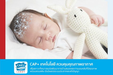 แลนดี้ โฮม