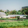 Sansiri Backyard