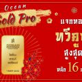 โอเชี่ยน พรอพเพอร์ตี้