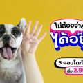 เมเจอร์ ดีเวลลอปเม้นท์