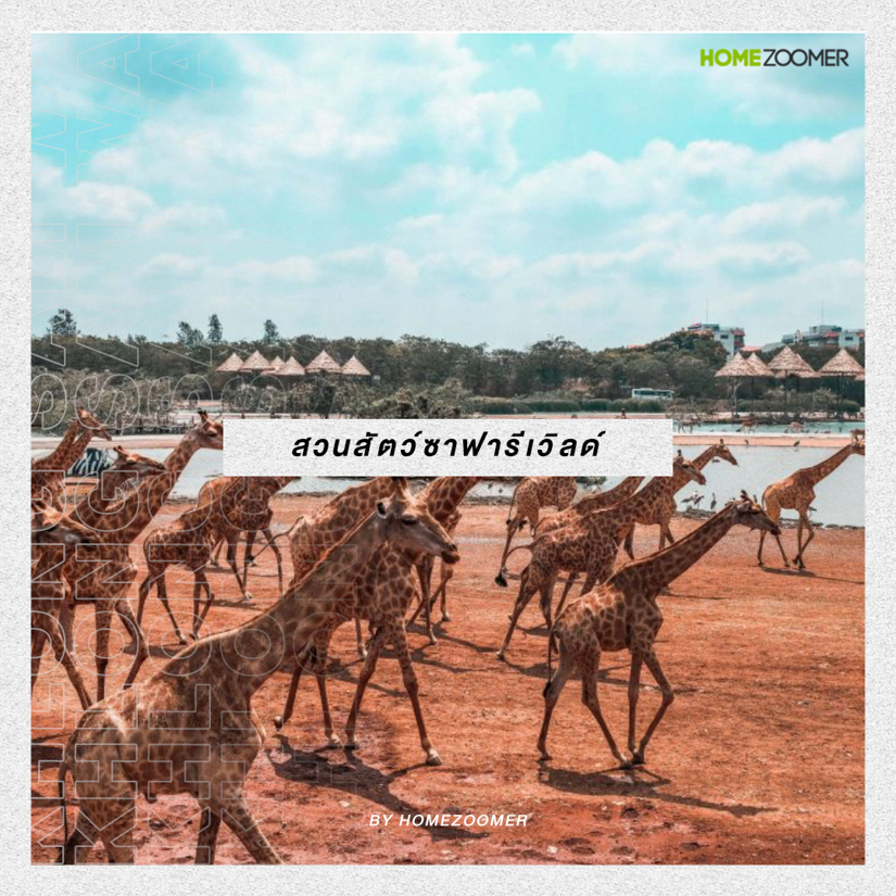 ชวนหนีความวุ่นวายในเมือง ไปท่องธรรมชาติและดื่มด่ำวัฒนธรรม ที่คลองสามวา