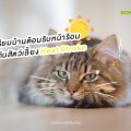 เตรียมบ้านรับหน้าร้อน ป้องกันสัตว์เลี้ยง Heat Stroke
