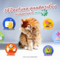 วิธีป้องกันและดูแลสัตว์เลี้ยงให้ปลอดภัยจากโควิค-19