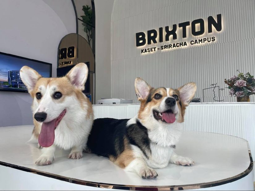 Brixton Kaset Sriracha Campus