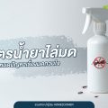 รวมสูตรน้ำยาไล่มดที่สามารถทำเองได้ หมดปัญหาเรื่องมดกวนใจ