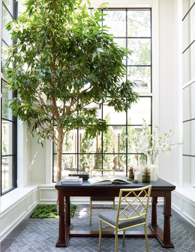 Biophilic Design