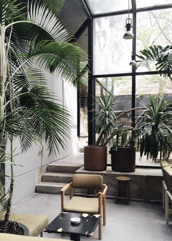 Biophilic Design