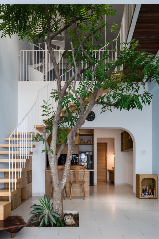 Biophilic Design