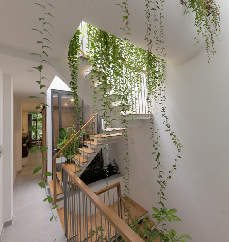 Biophilic Design