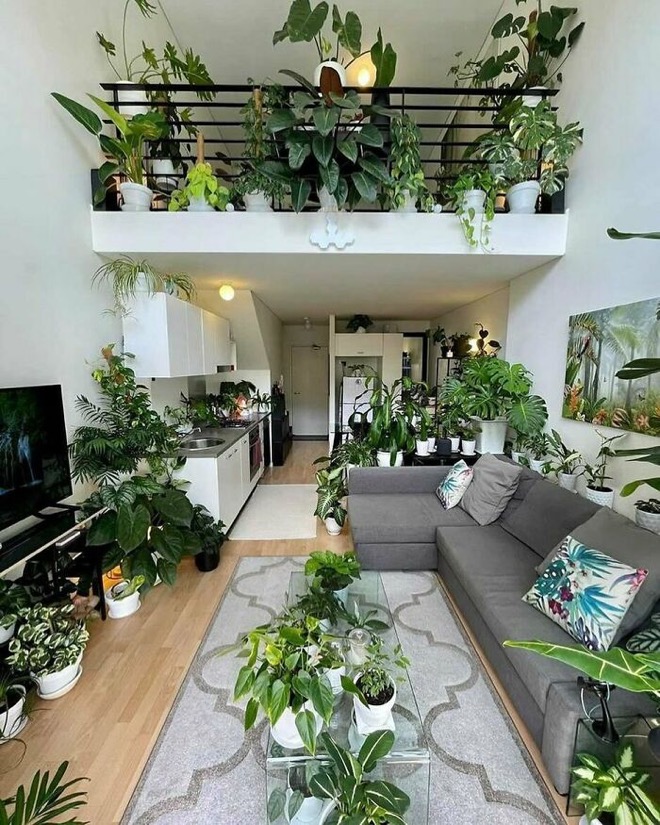 Biophilic Design