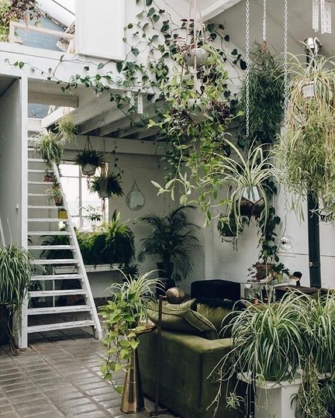 Biophilic Design