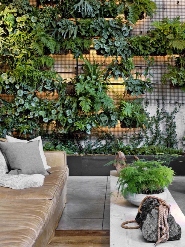 Biophilic Design