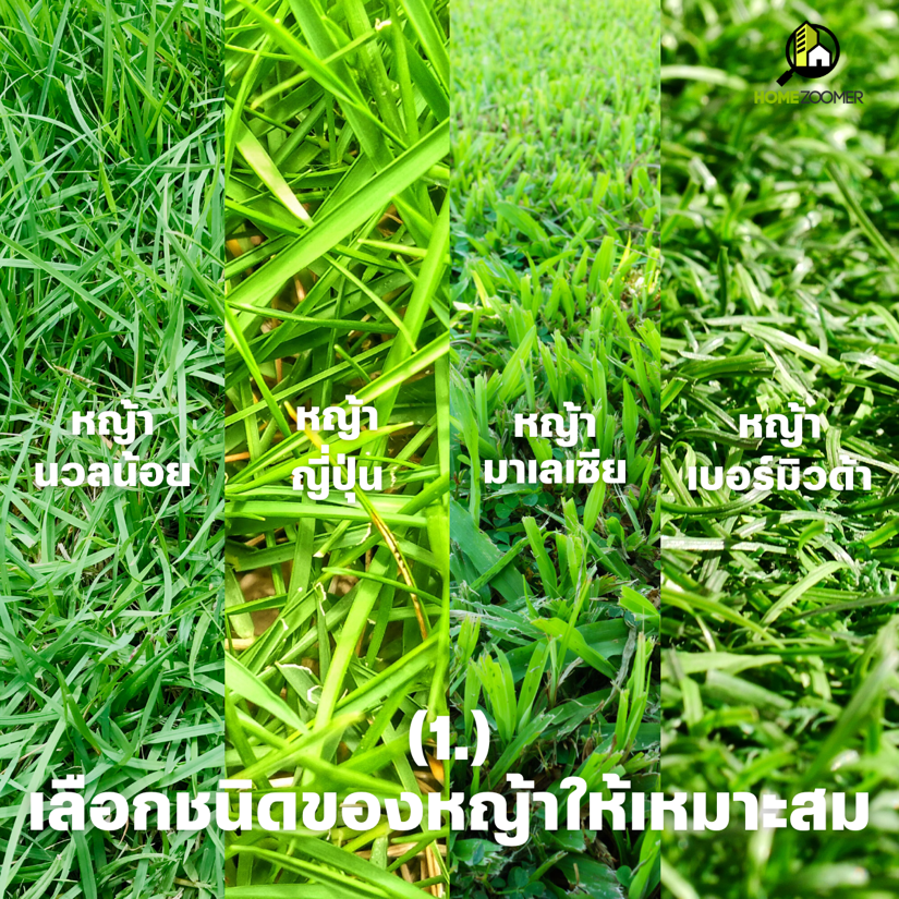เคล็ดไม่ลับ ปลูกหญ้าในสวนให้รอด