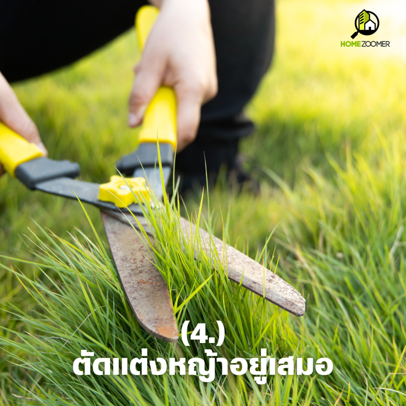 เคล็ดไม่ลับ ปลูกหญ้าในสวนให้รอด