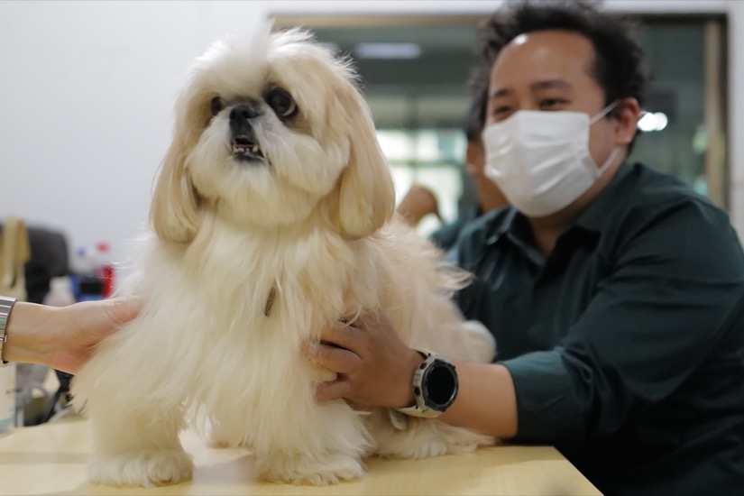 Pet Family Expertise Program