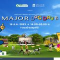 เมเจอร์ ดีเวลลอปเม้นท์