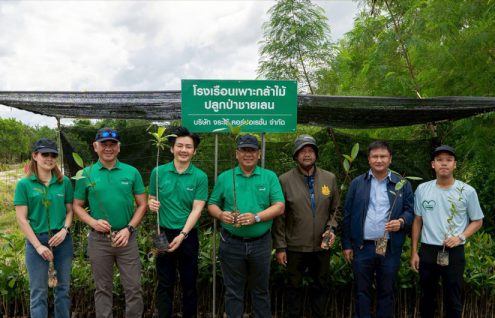 จระเข้