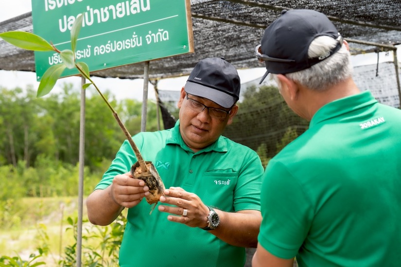 จระเข้
